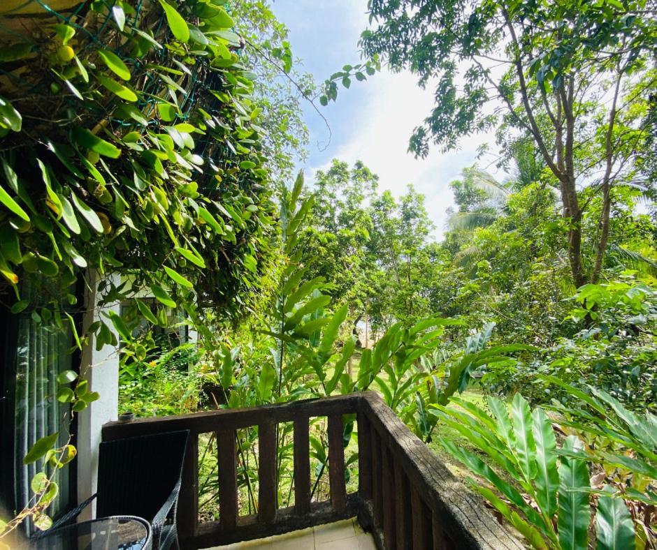 Catanauan Cove White Sand Beach Resort Extérieur photo